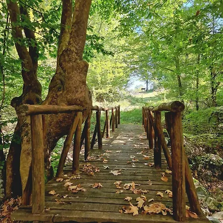 Guest House Elatochori Ελατοχώρι