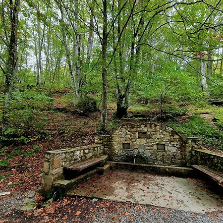 Guest House Elatochori Σπίτι διακοπών *