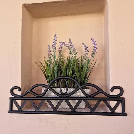Guest House Elatochori Semesterbostad *